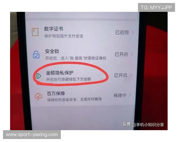 开云网页版登录官网安全保障措施及账户保护技巧介绍