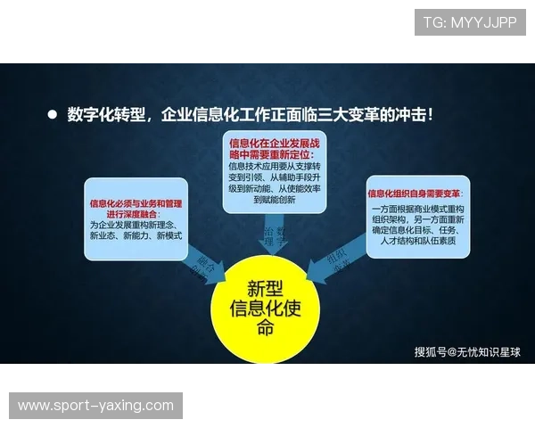 亚星网站的未来发展规划与创新方向,展望企业数字化转型的新趋势 亚星网站的未来发展规划与创新方向,展望企业数字化转型的新趋势