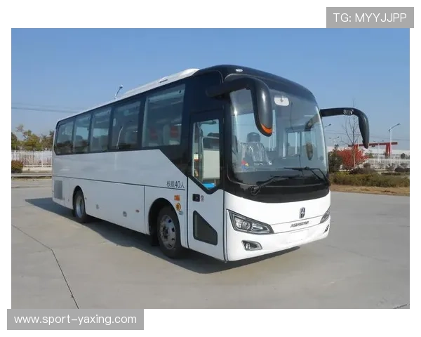 亚星客车最新消息：最新市场份额数据公布，竞争格局发生了哪些变化