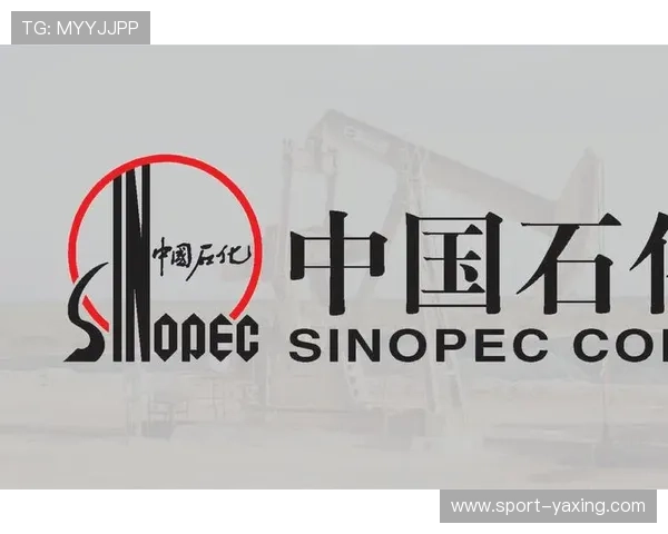 掌握亚星管理网代理平台入口登录技巧，提升平台管理效率与安全性