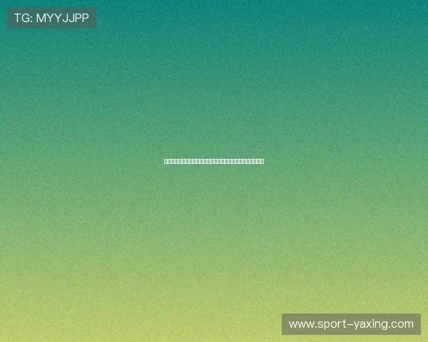 亚星棋牌在世界杯期间的安全保障措施与用户权益保护措施分析